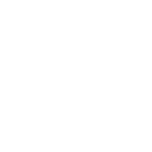 crawlspace medic logo