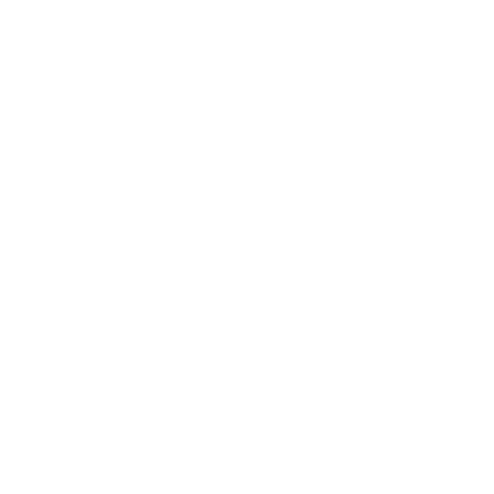 crawlspace medic logo