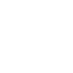 punch list pros logo