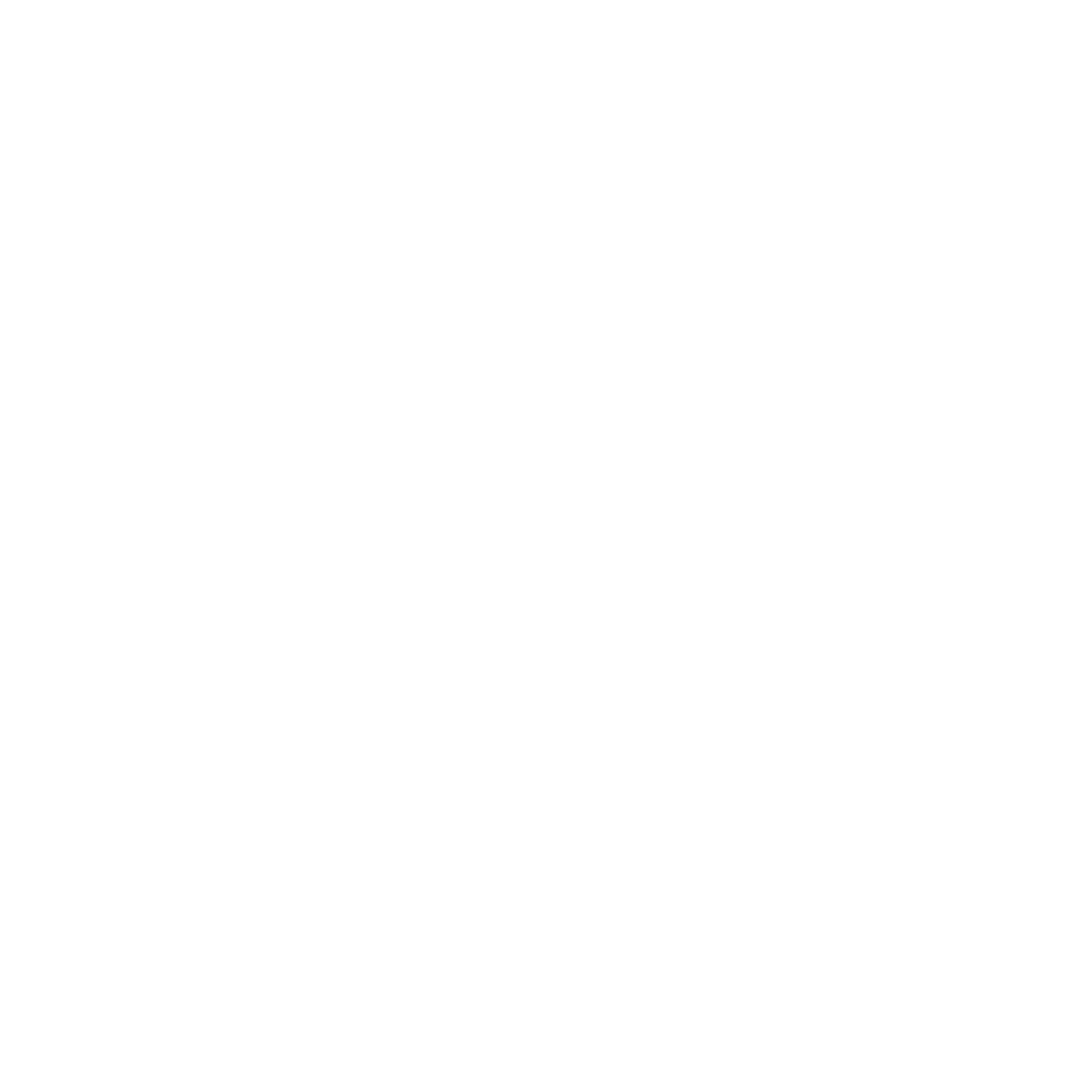 punch list pros logo